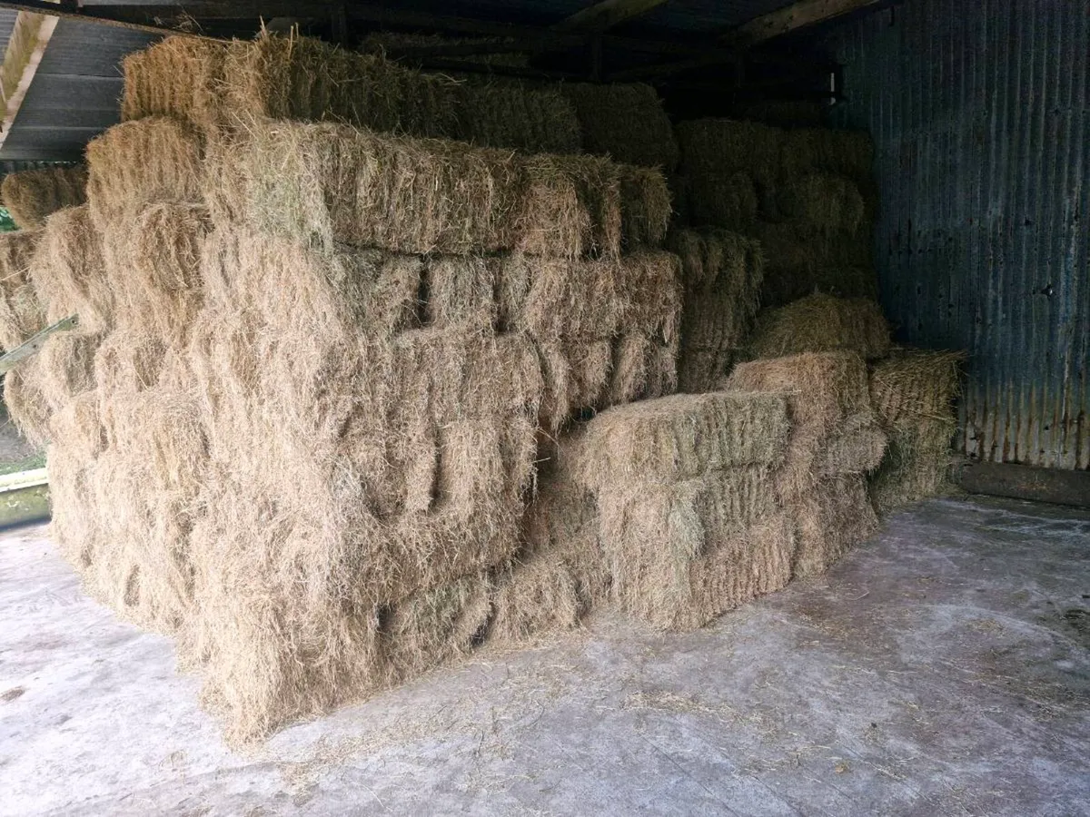 Small Bales of Hay - Image 2