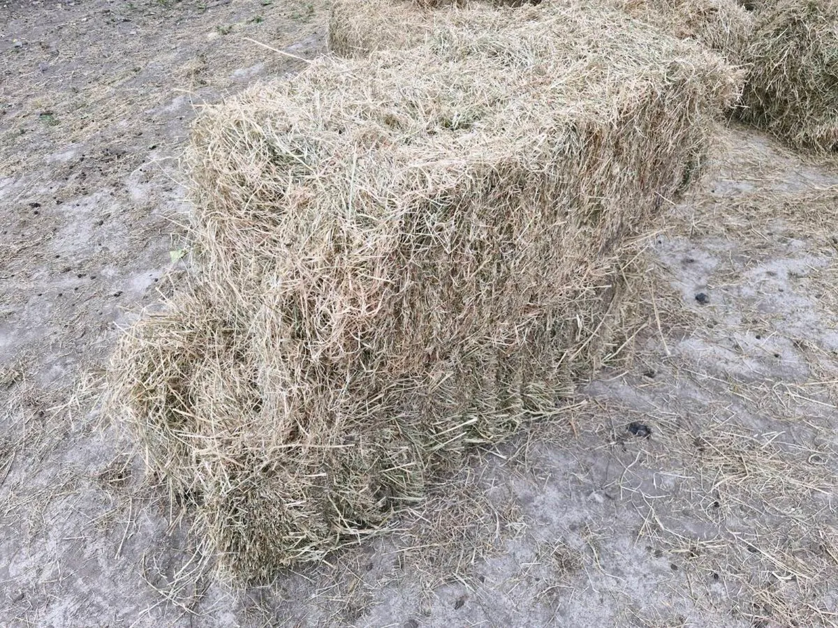 Small Bales of Hay - Image 1