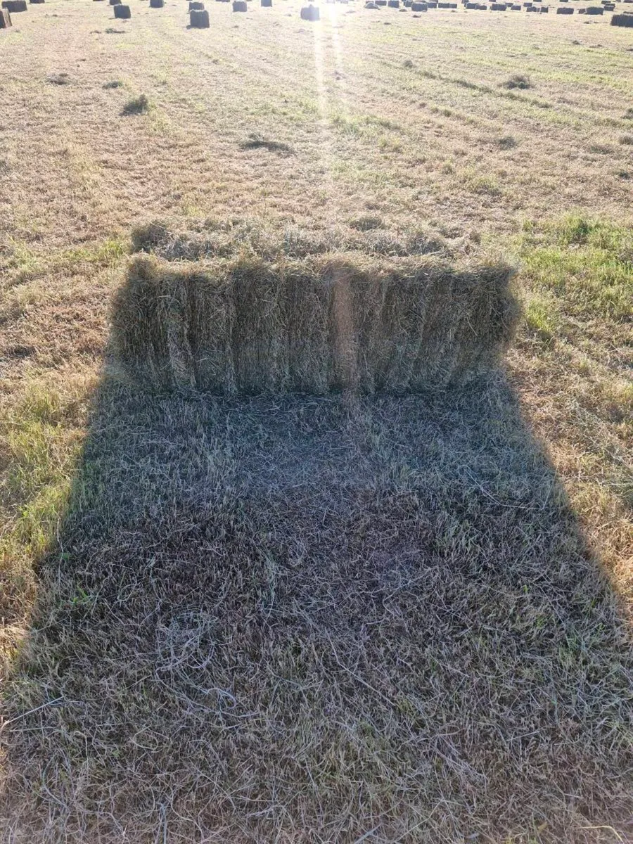 Small Bales of Hay - Image 3