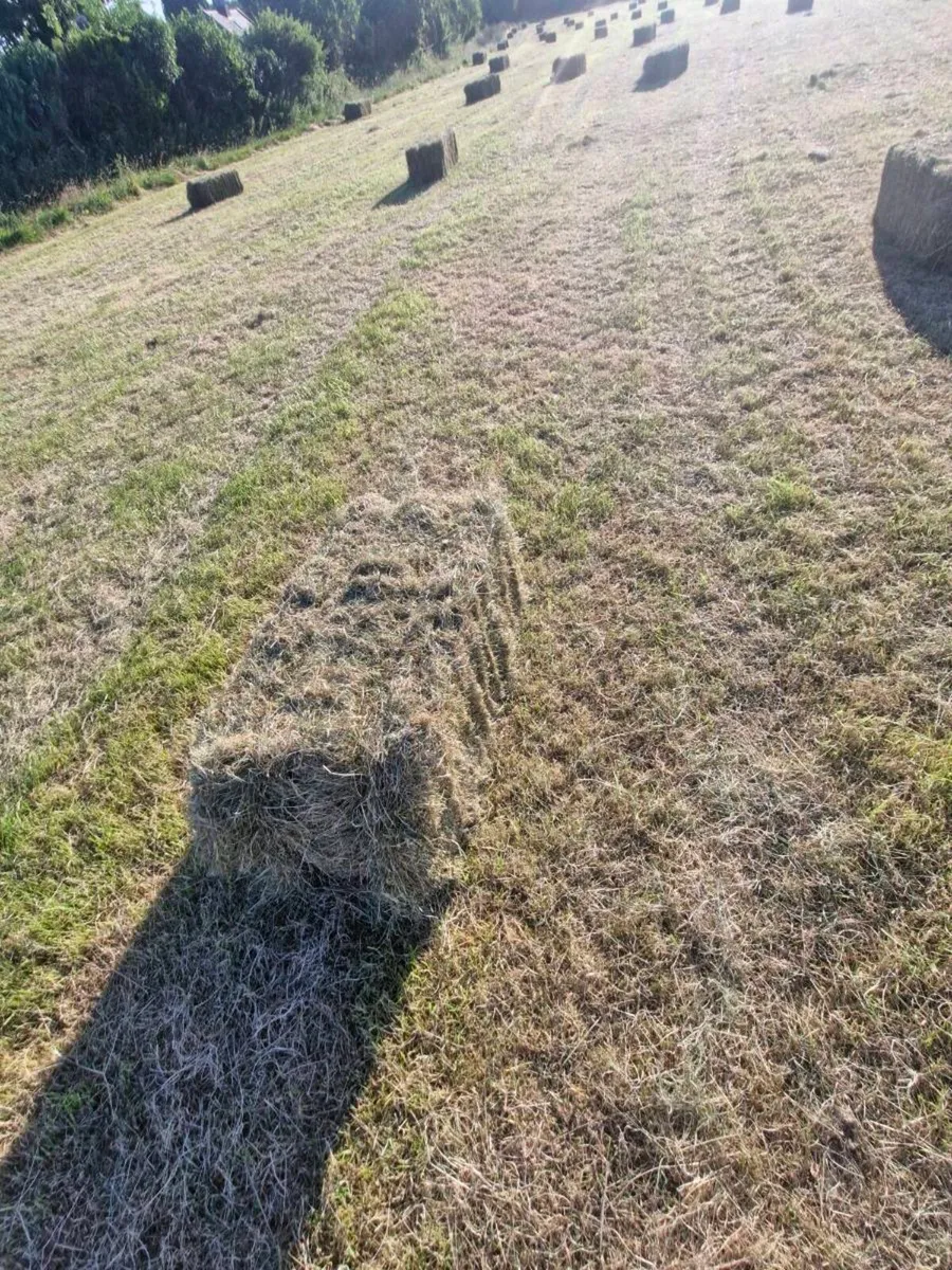 Small Bales of Hay - Image 4