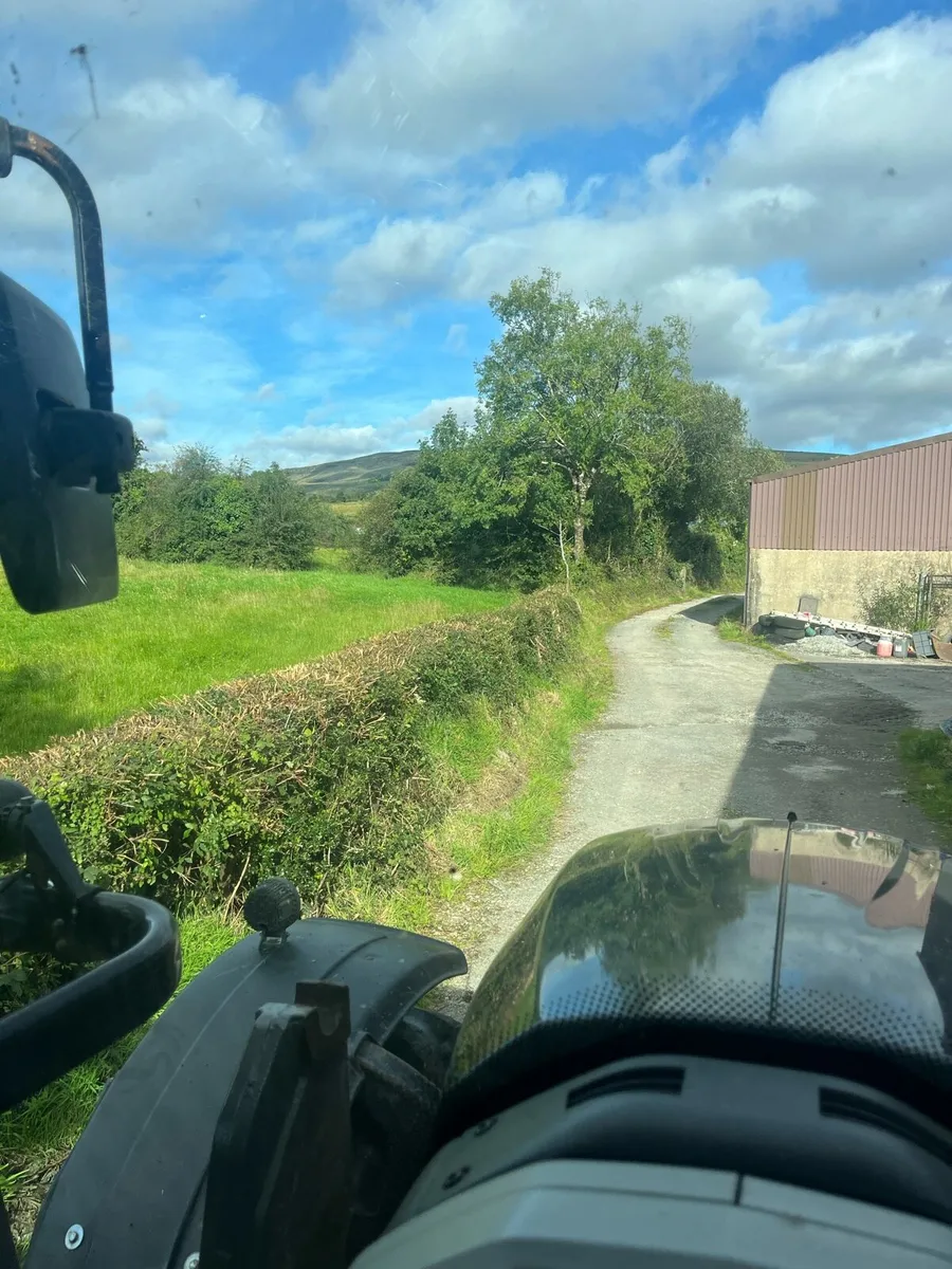 Hedgecutting - Image 1