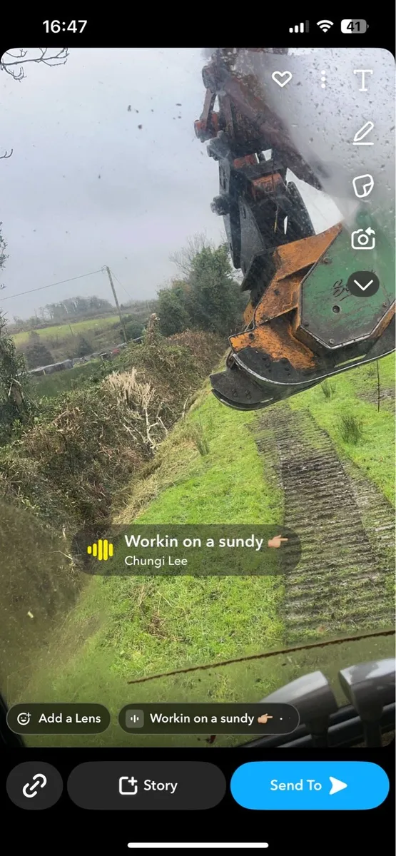 Hedgecutting - Image 4
