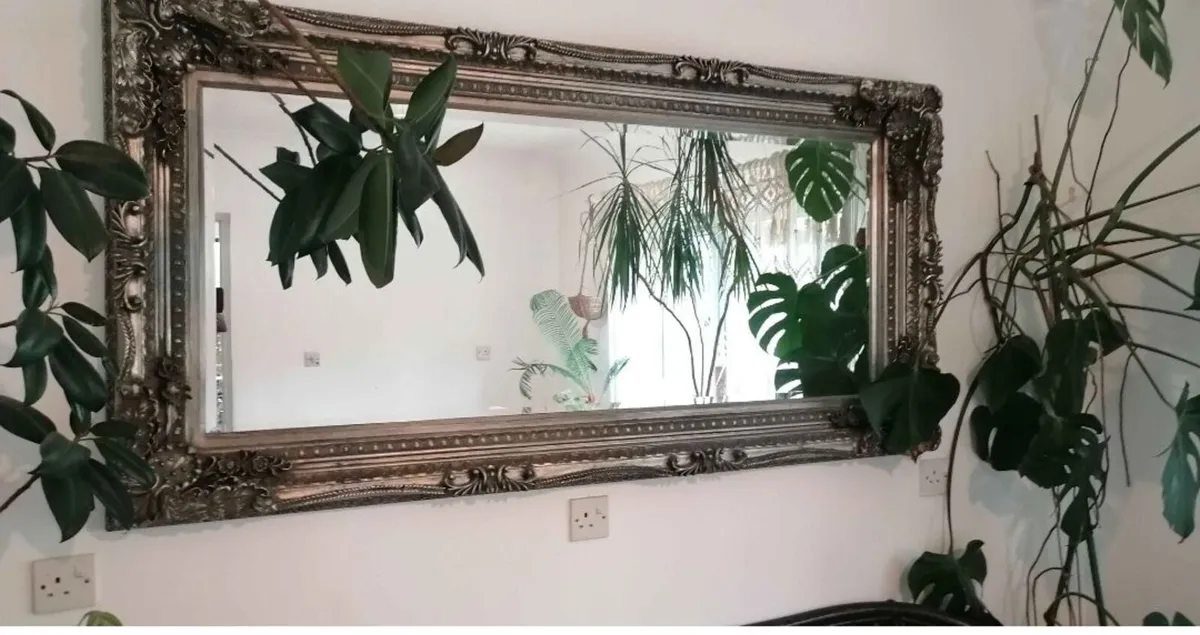 Mirror