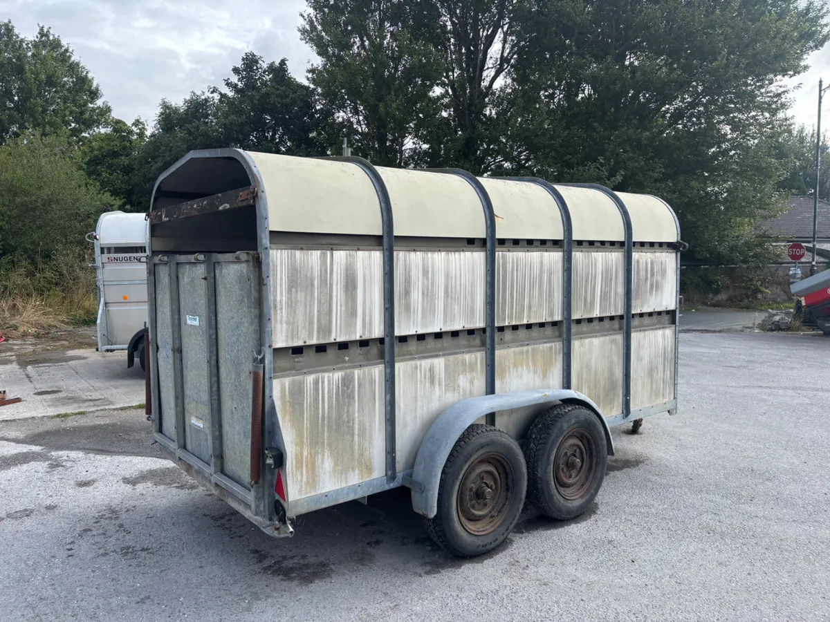 bateson 12ft cattle trailer - Image 4