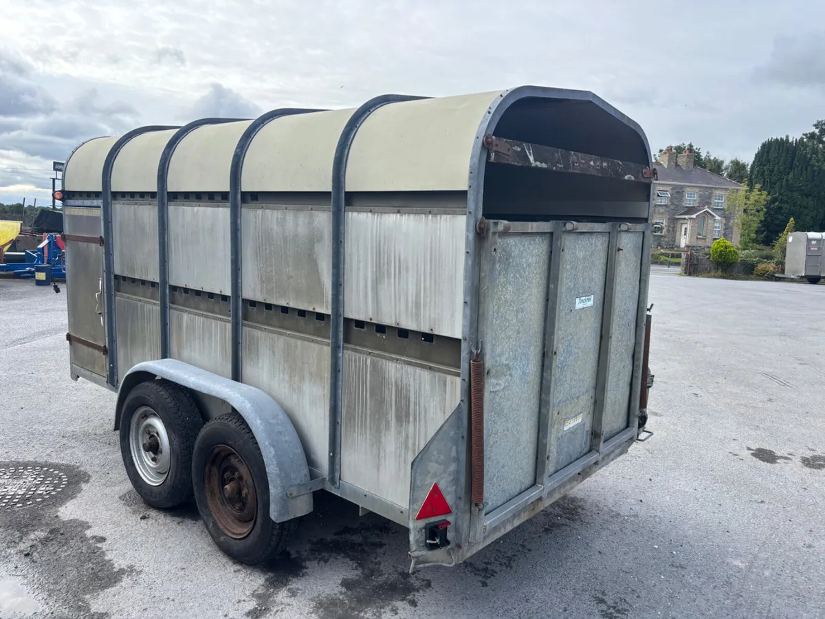 bateson 12ft cattle trailer - Image 3