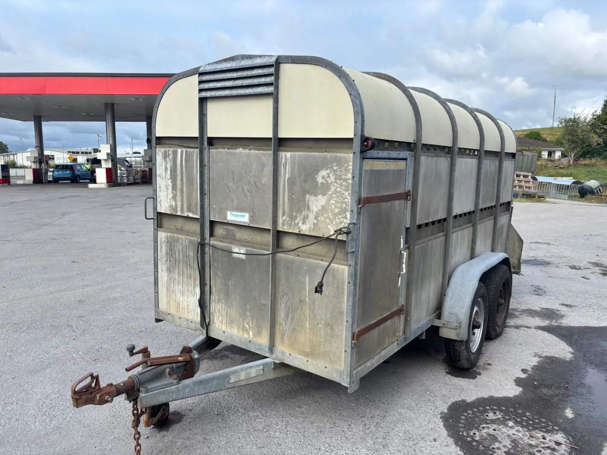 bateson 12ft cattle trailer - Image 2