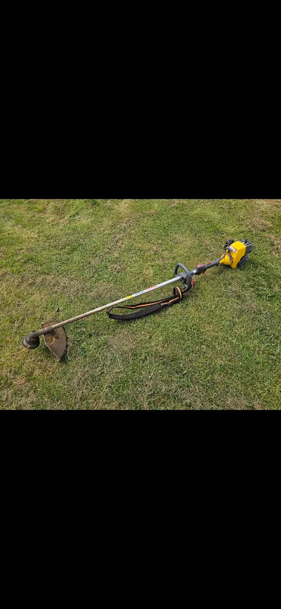 Petrol strimmer and Electric hedge trimmer - Image 2