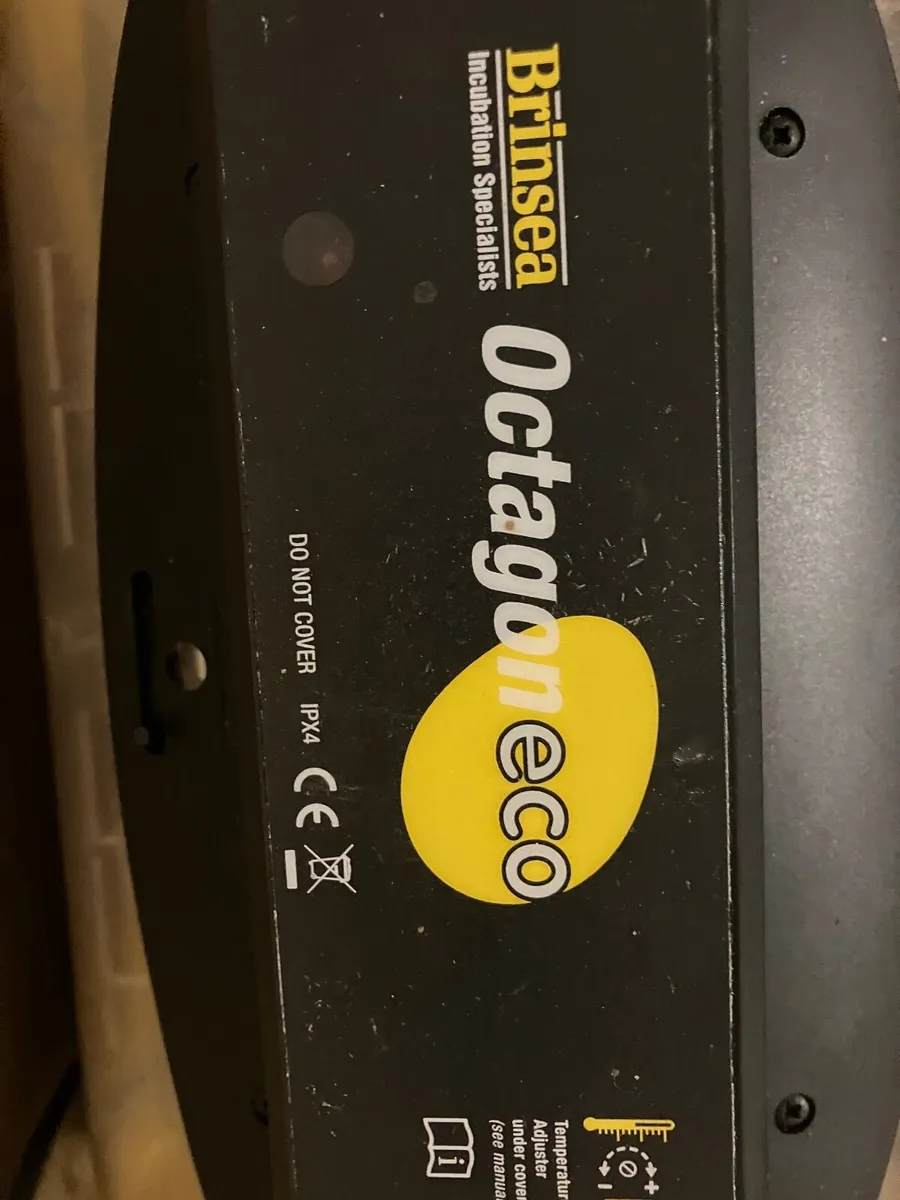 Incubator - Image 2