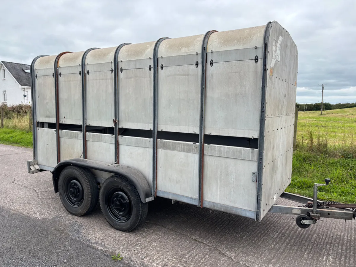 Ifor Williams 12ft x 5ft cattle trailer - Image 3