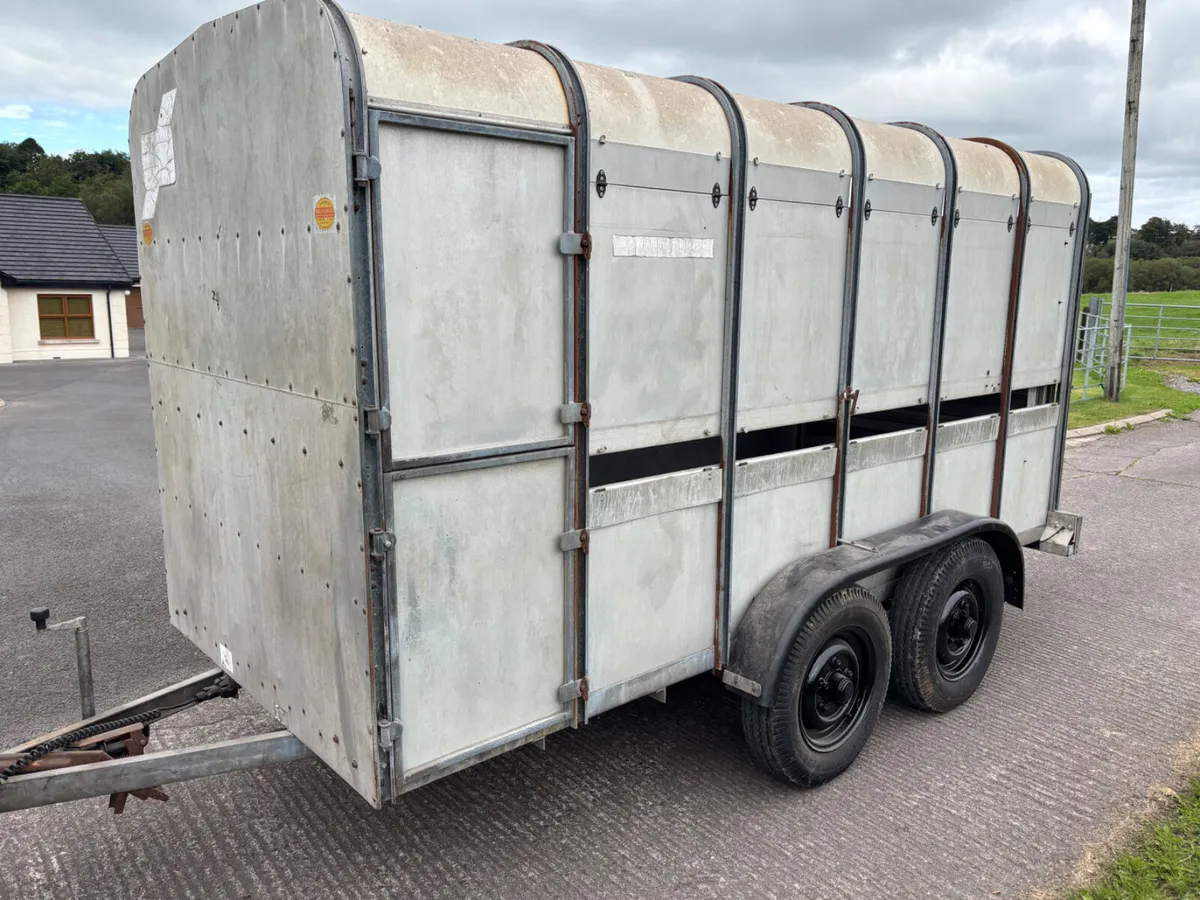 Ifor Williams 12ft x 5ft cattle trailer - Image 1