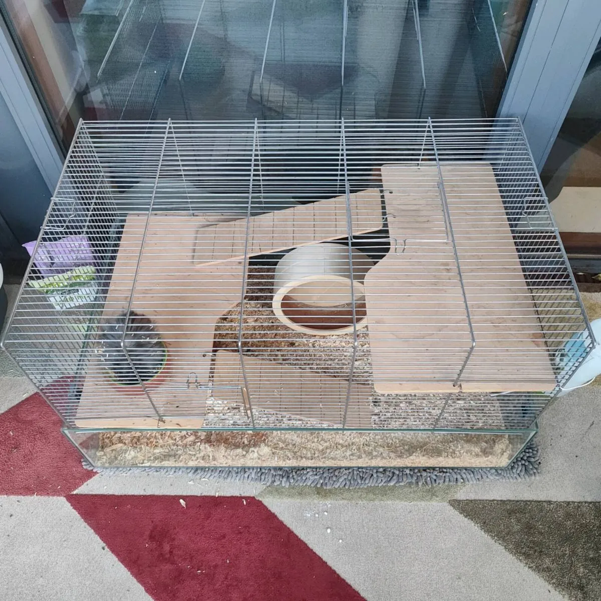 Syrian hamster black / includes cage - Image 1