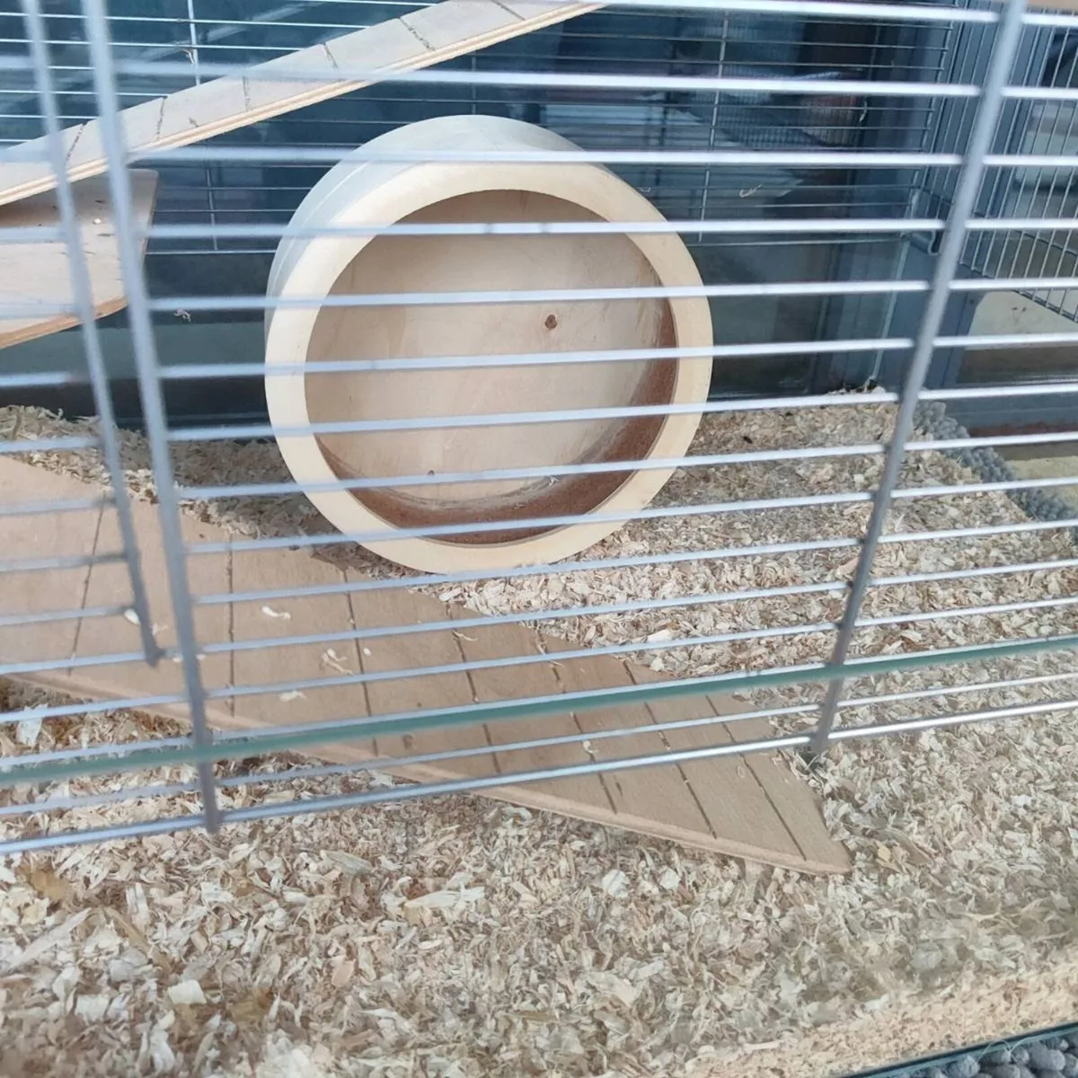 Syrian hamster black / includes cage - Image 2