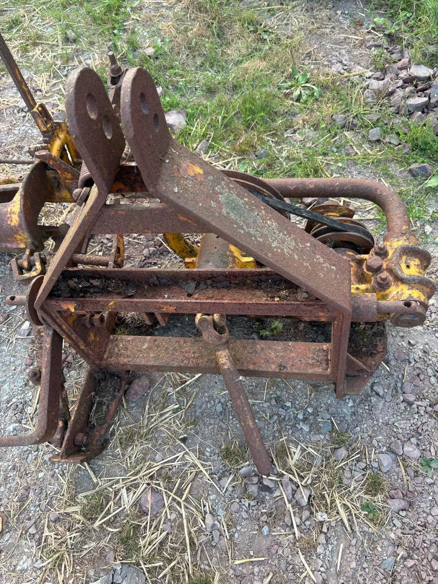 Yard clear out - Image 4