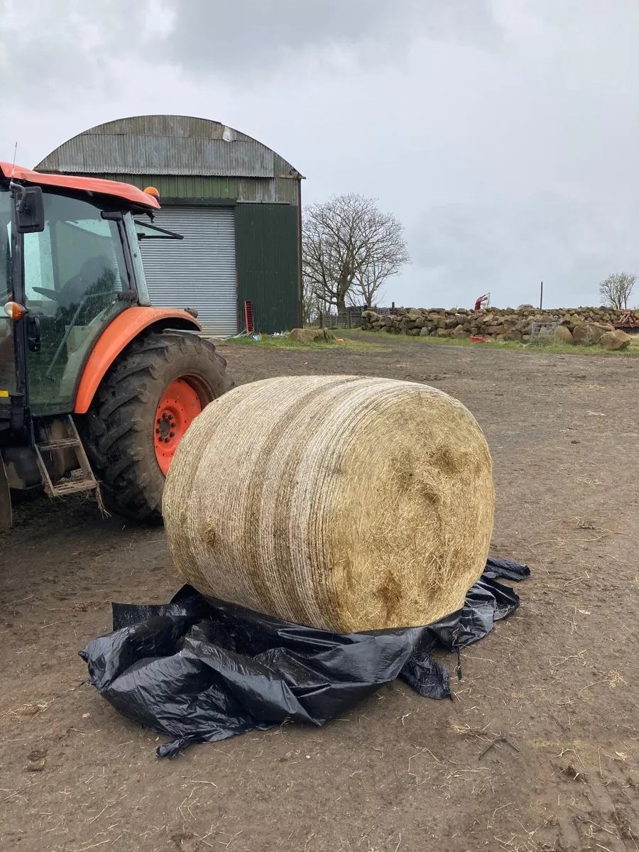 Round bale haylage