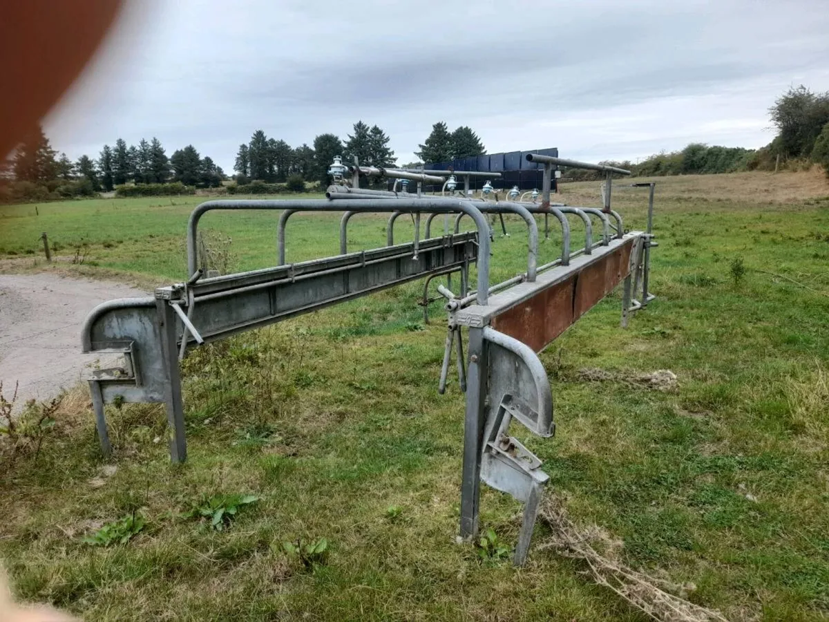 Milking Parlour Cage - Image 4