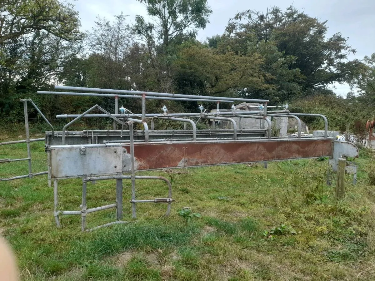 Milking Parlour Cage - Image 2