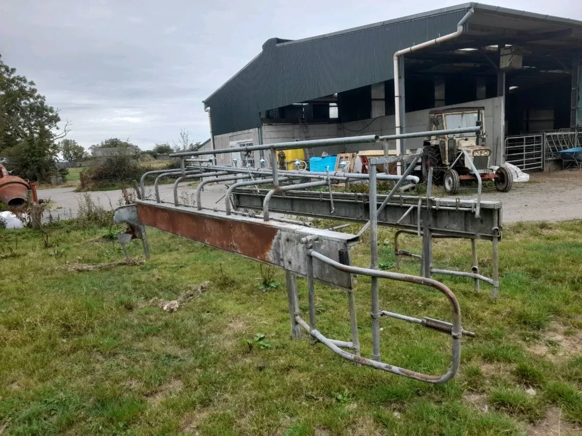 Milking Parlour Cage - Image 3