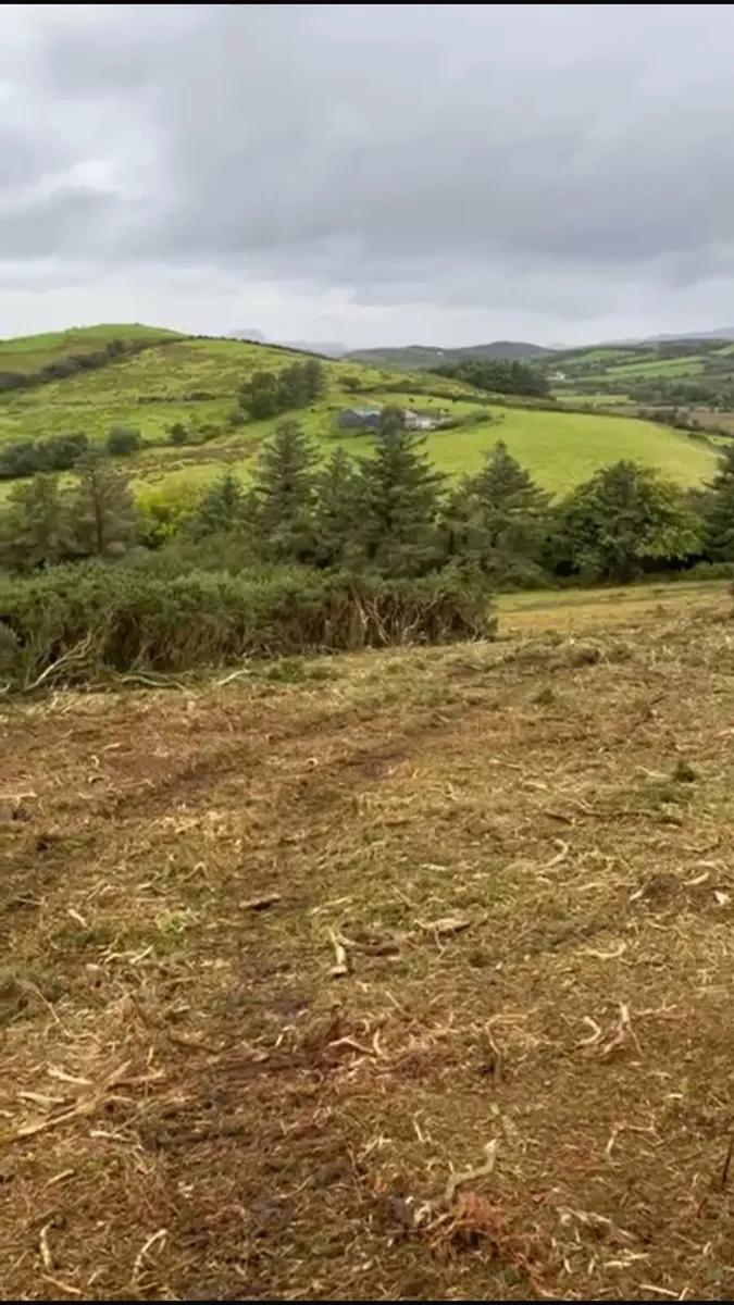 **Site Clearance/ Mulching** - Image 3