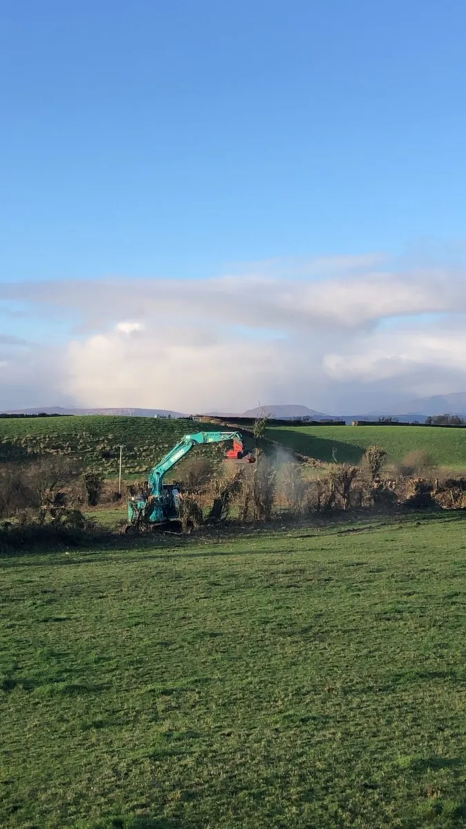 **Site Clearance/ Mulching** - Image 4