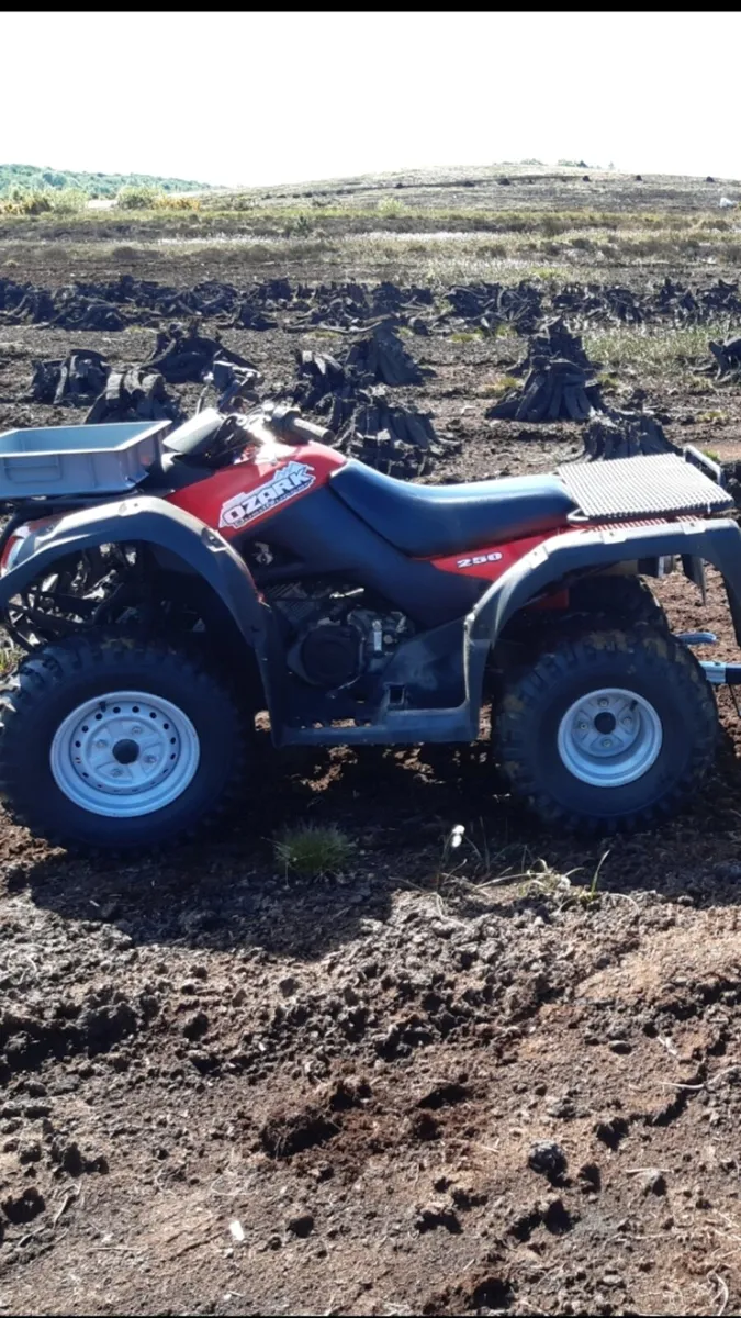 Suzuki ozark 250 - Image 1