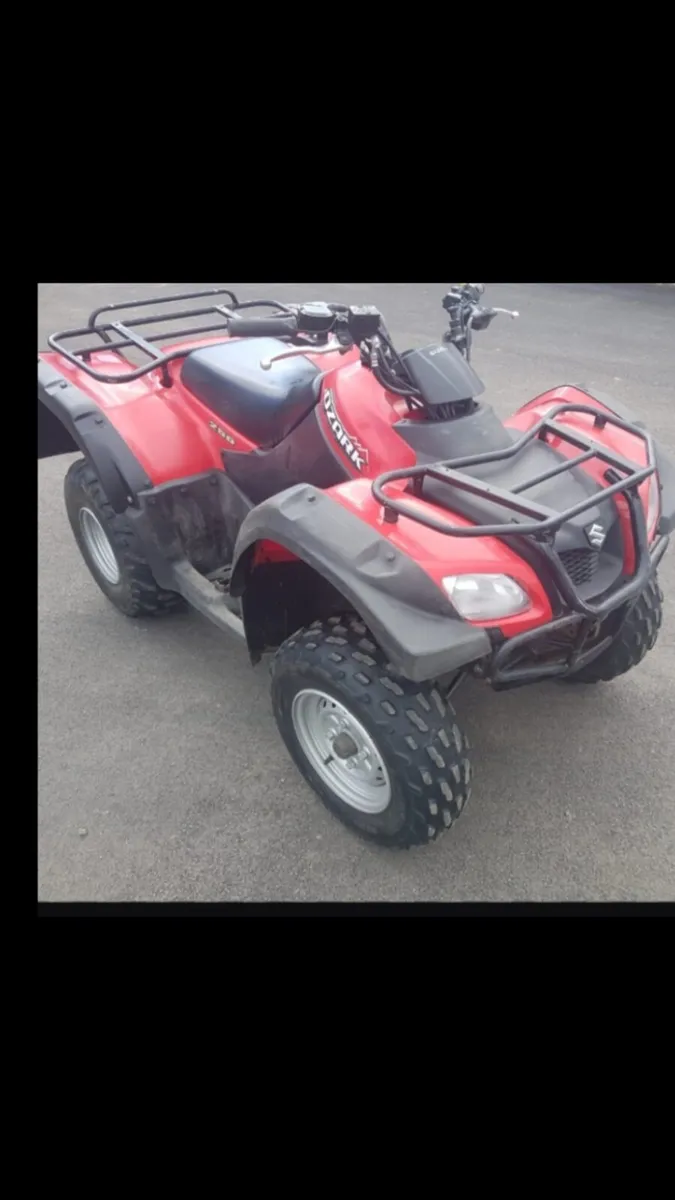 Suzuki ozark 250 - Image 2
