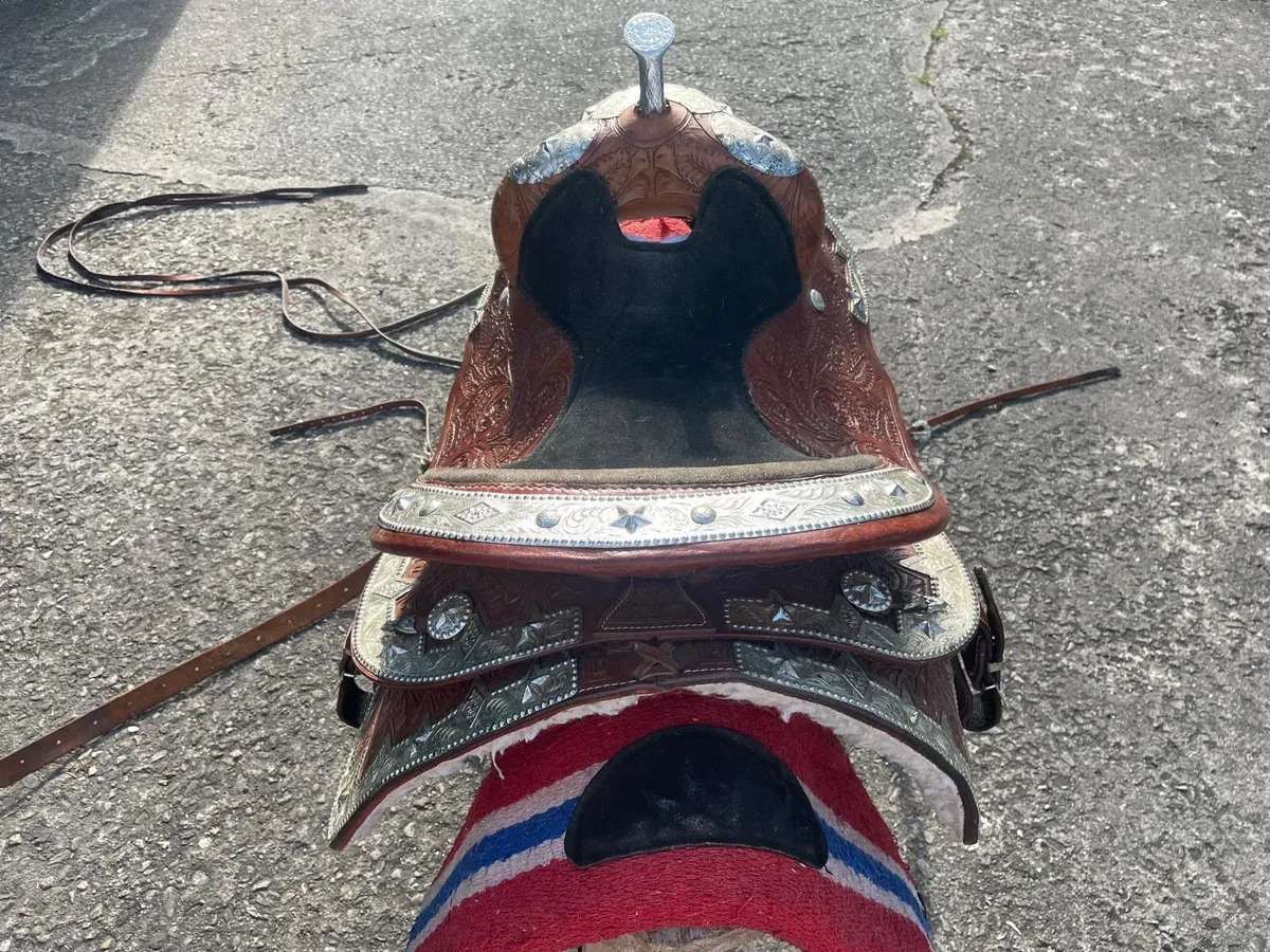 Saddle - Image 2
