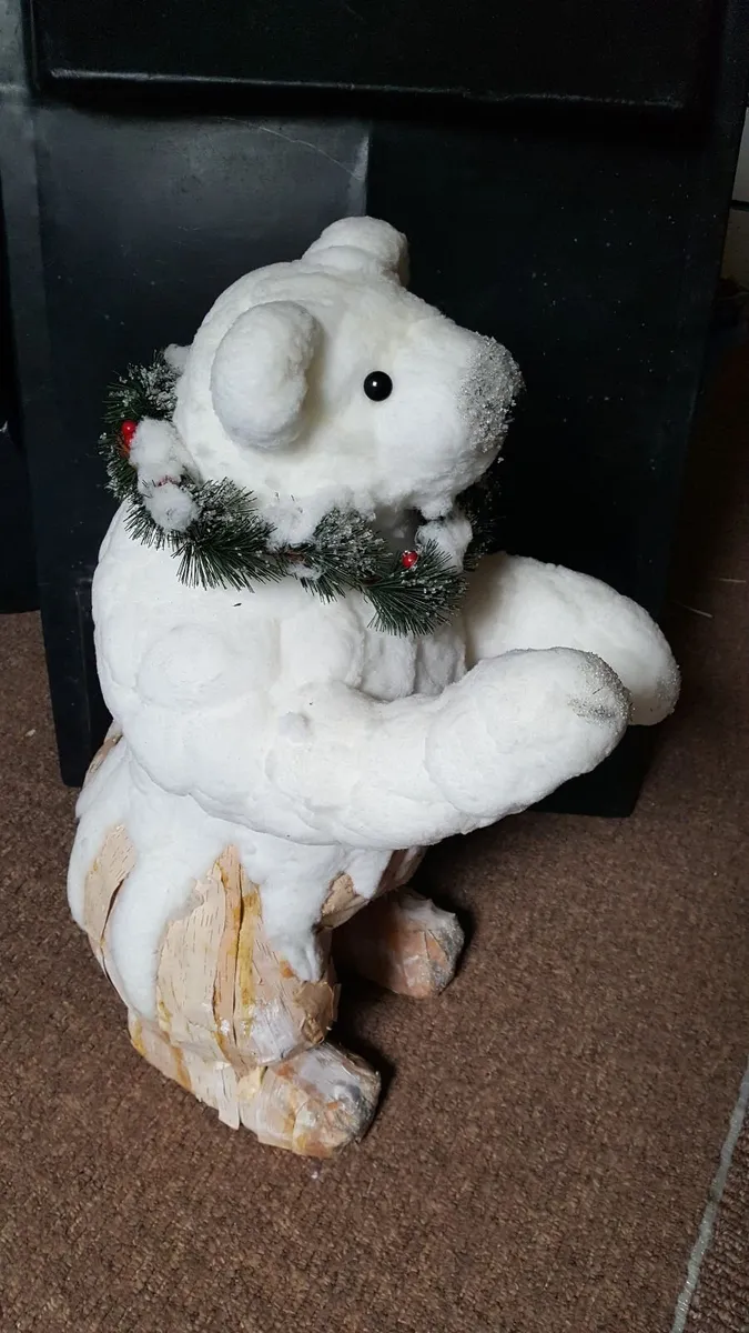 Polar Bears - Image 3
