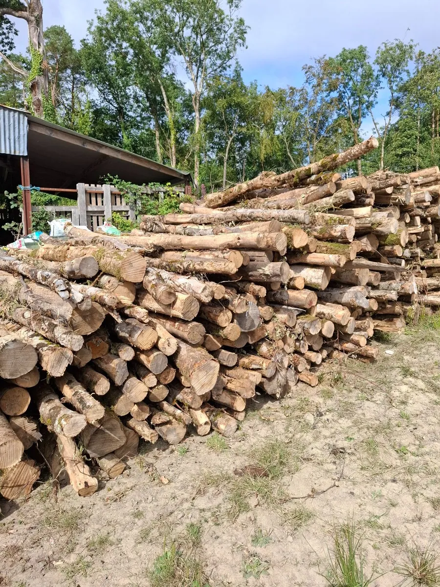 Firewood - Image 2