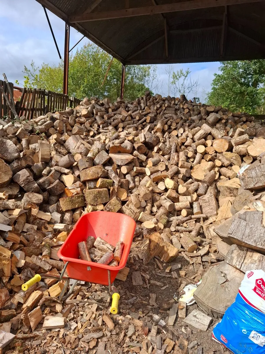 Firewood - Image 3