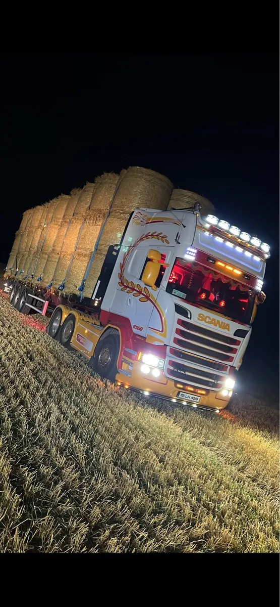 Round bales of barley straw - Image 1