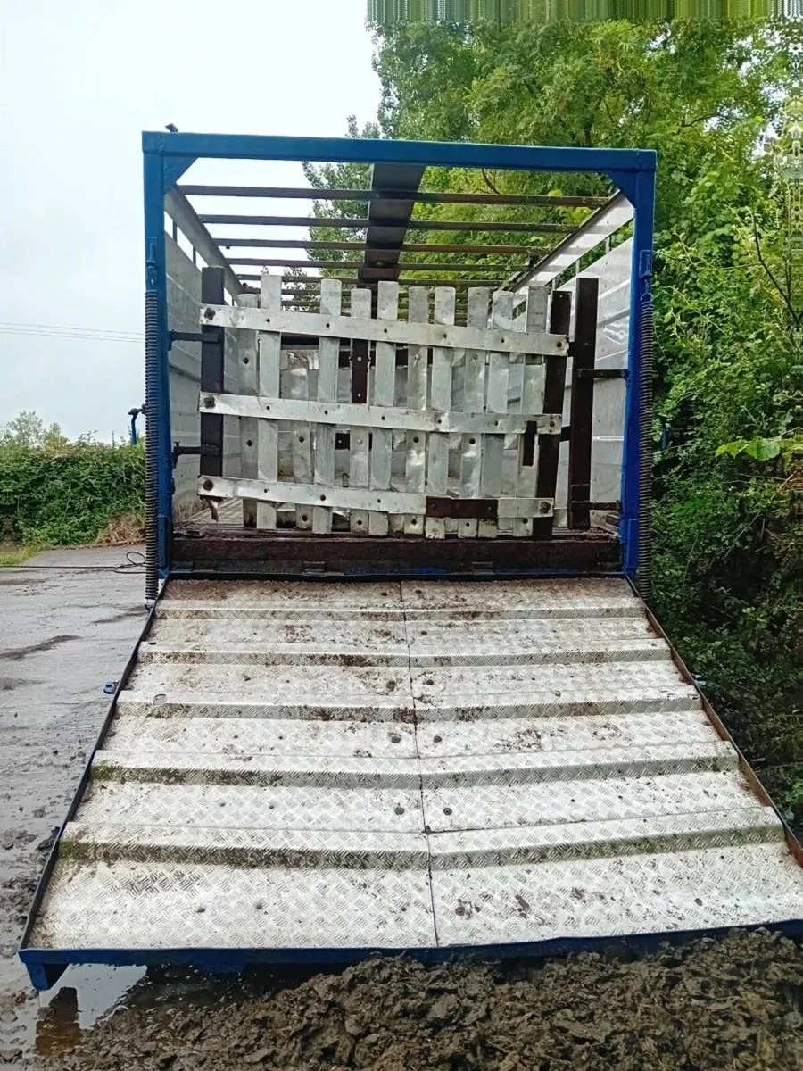 Cattle trailer - Image 4