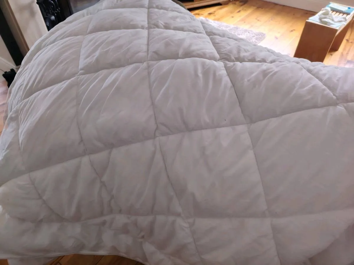 Free  King size duvet - Image 2