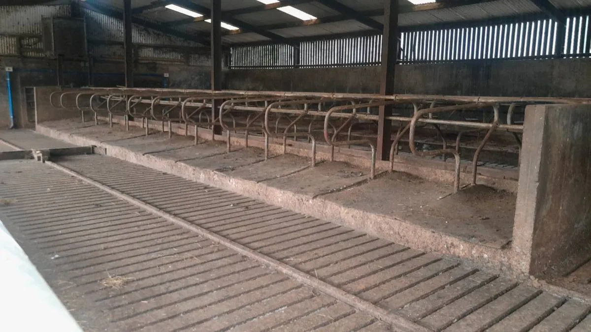 Cubicle/ slatted winter accomodation - Image 2