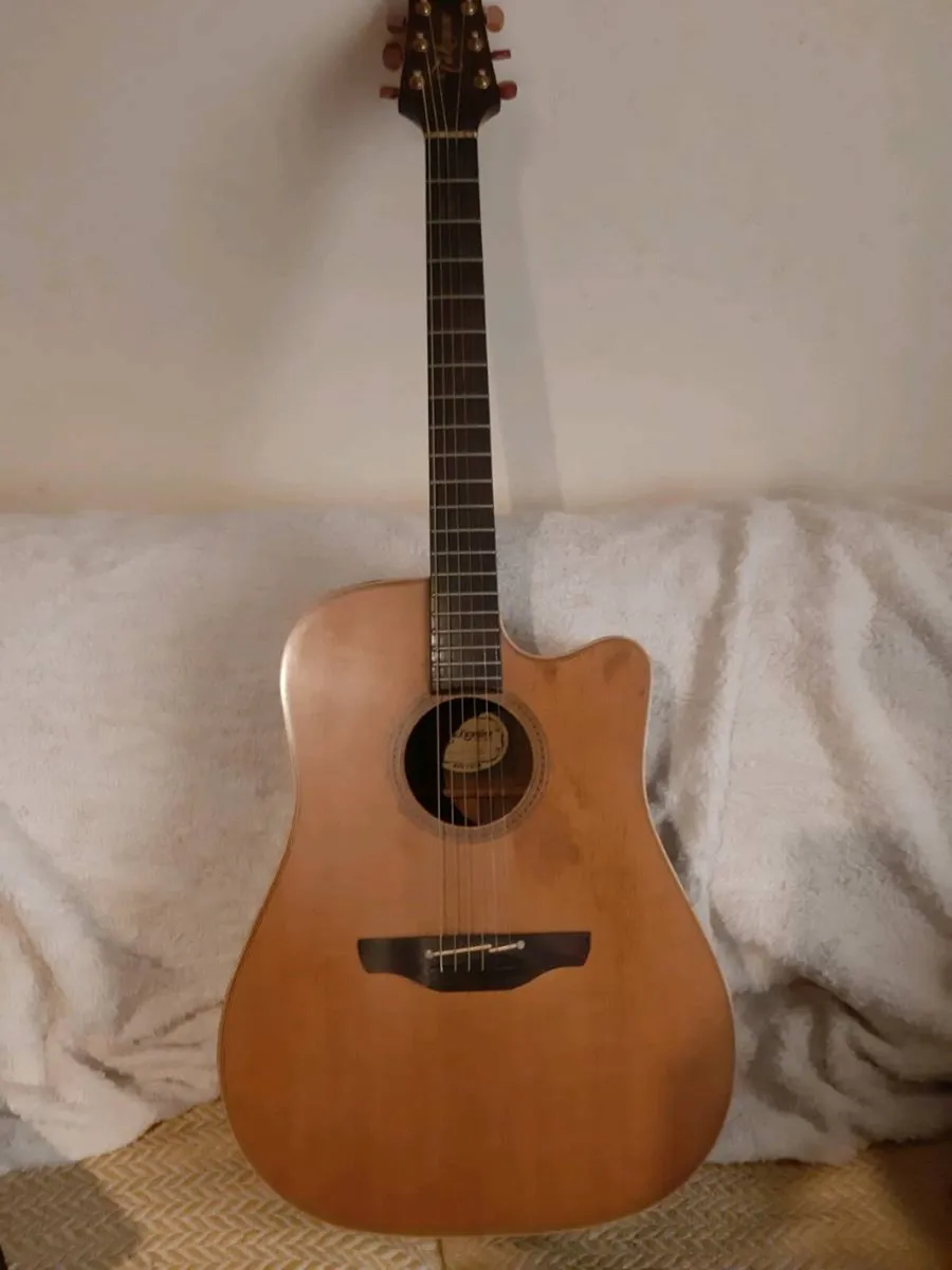 Takamine np15c - Image 1