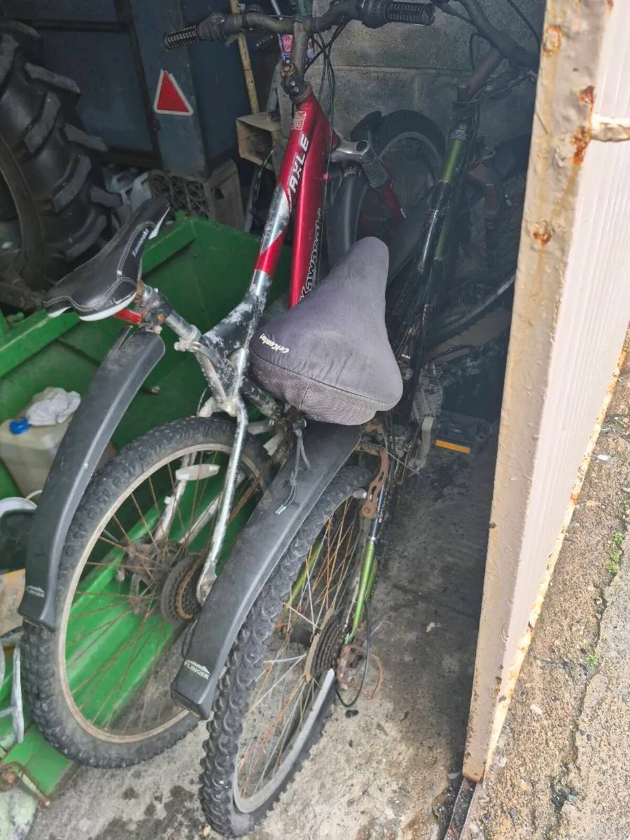 Mountain Bikes for Sale - Image 1