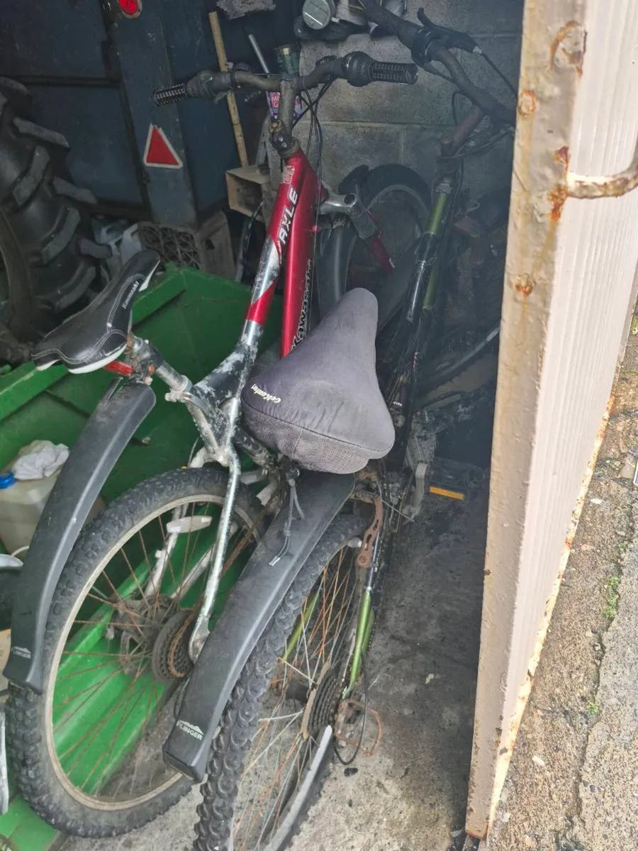 Mountain Bikes for Sale - Image 3