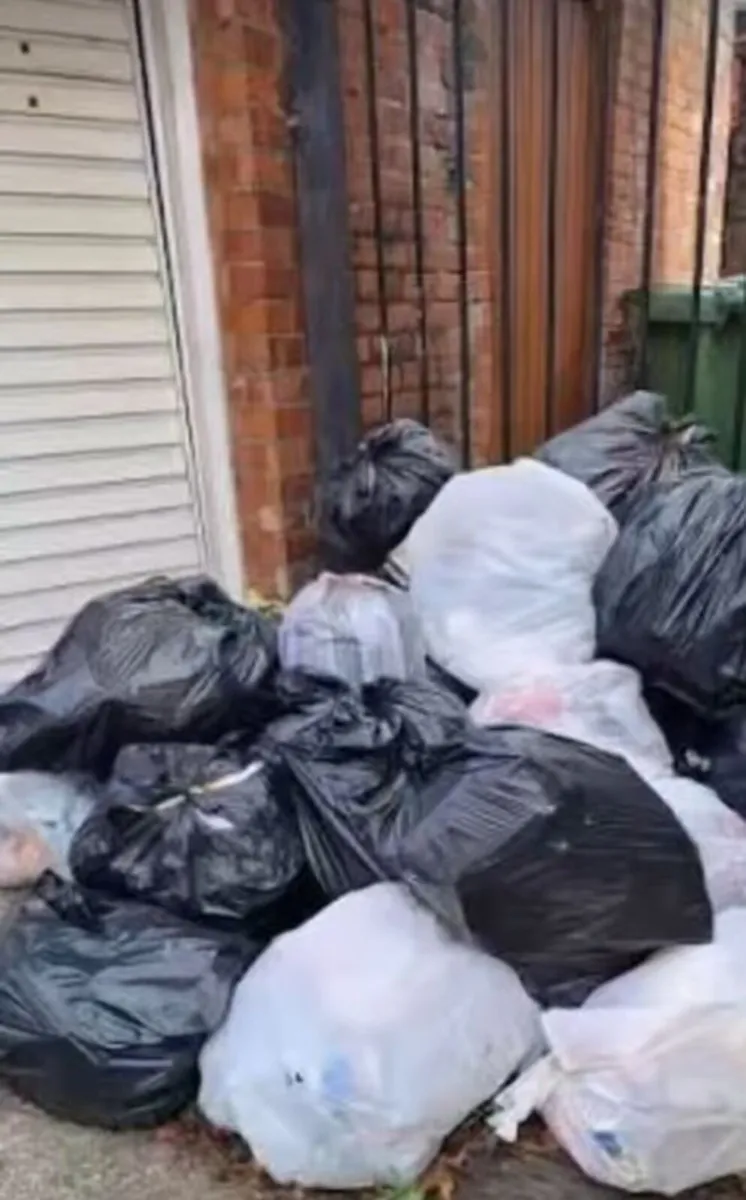 Rubbish removal - Image 4