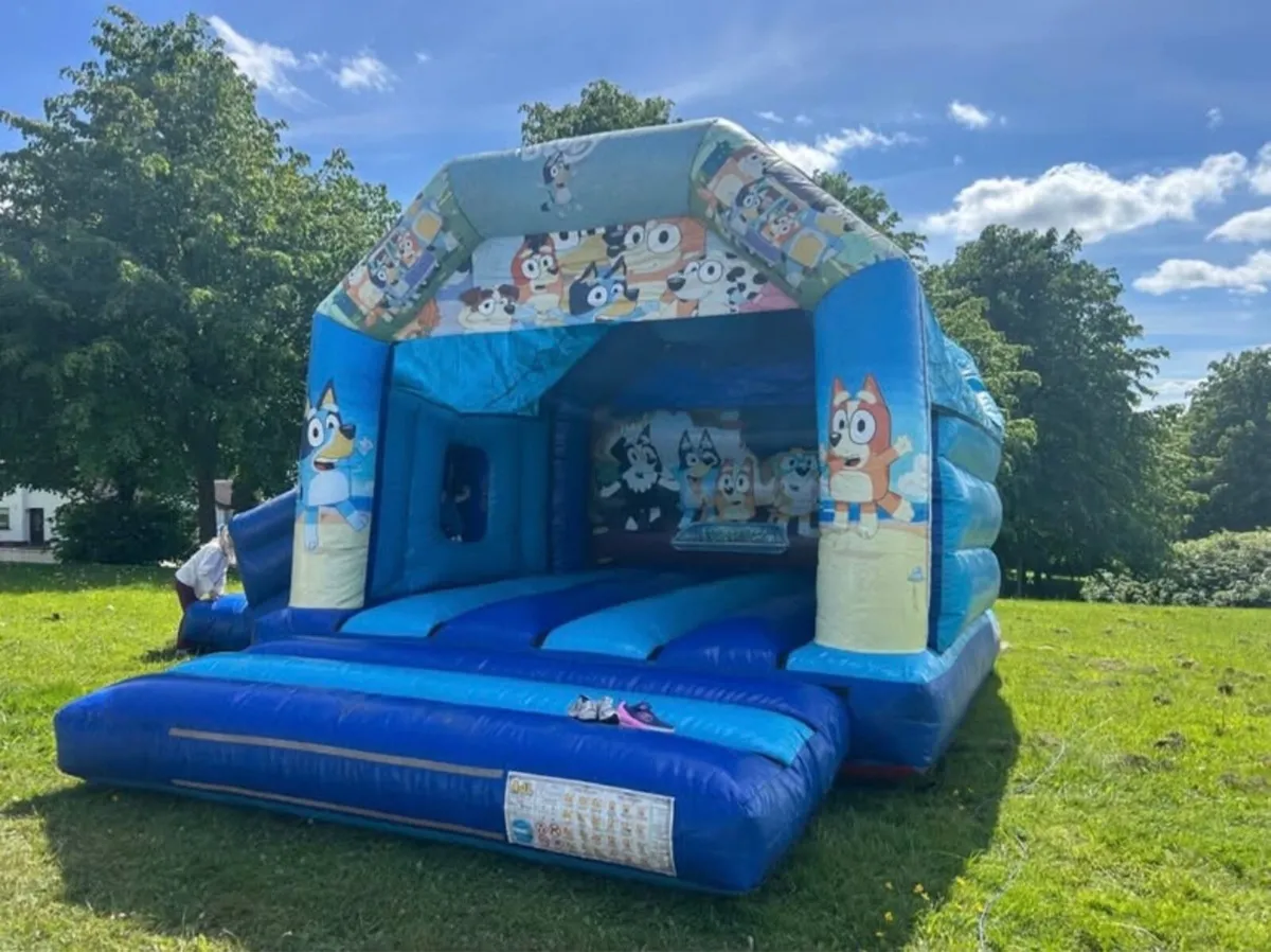 Bouncy castle - Image 1