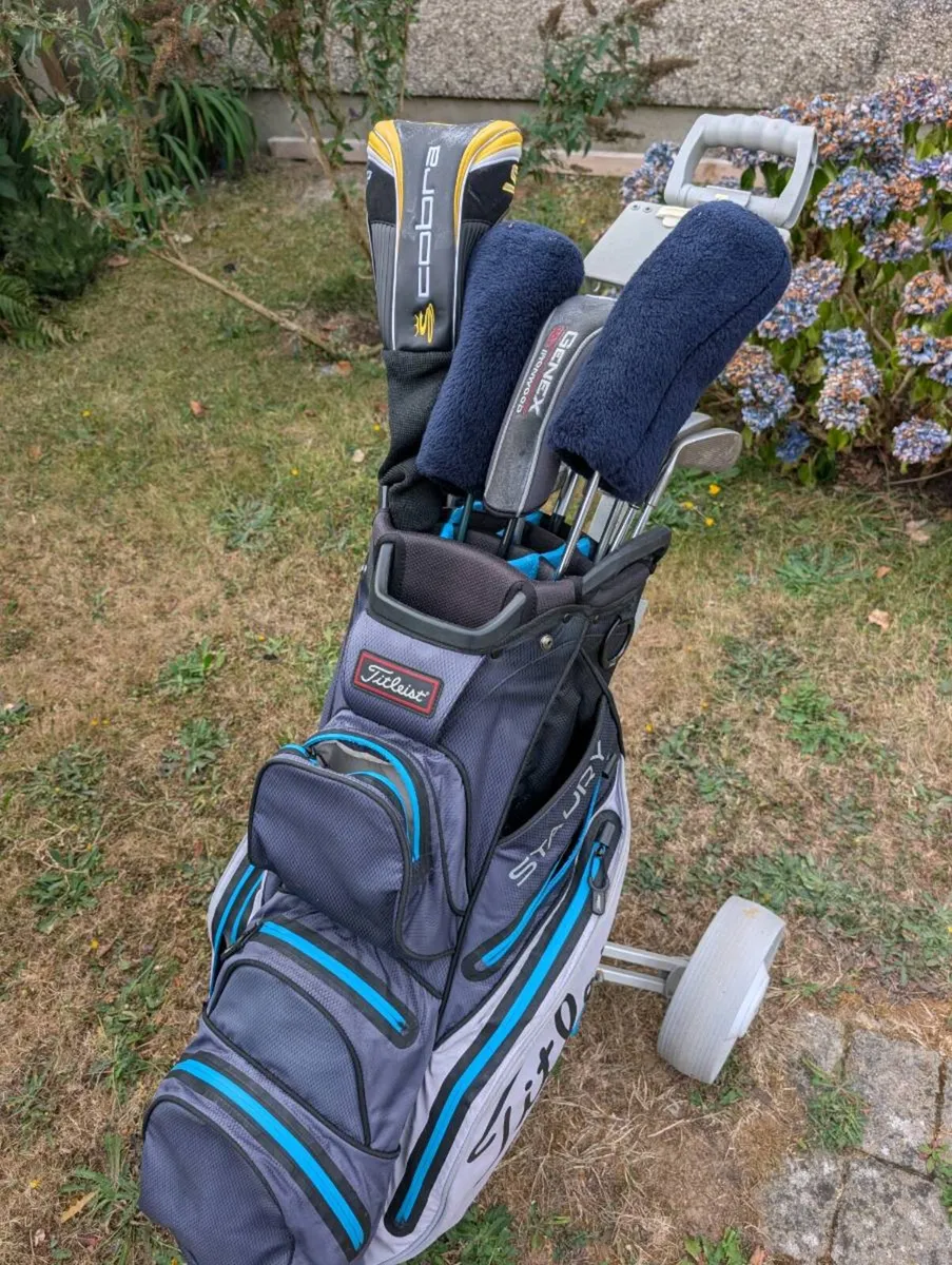 Perfect beginner set of clubs looks the part - Image 2