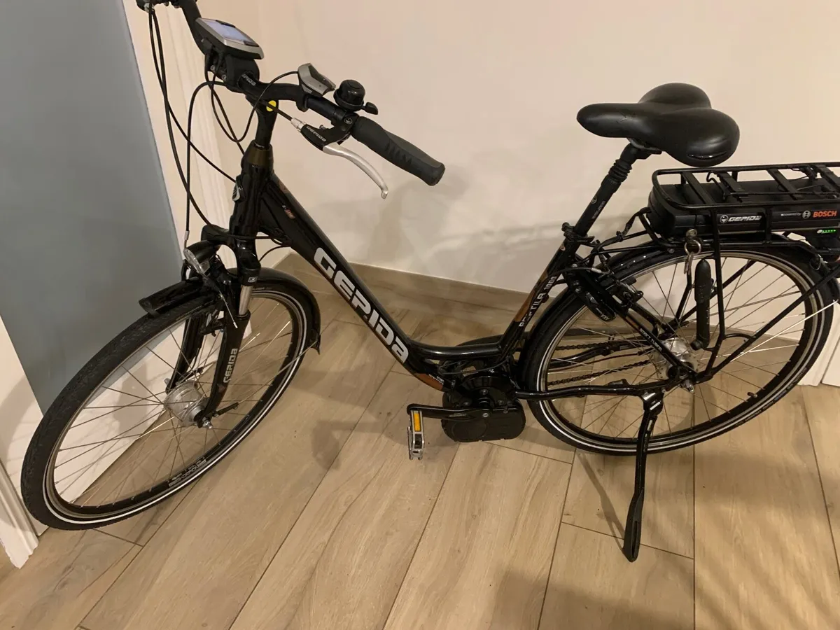 Gepida Electric Bicycle - Image 2