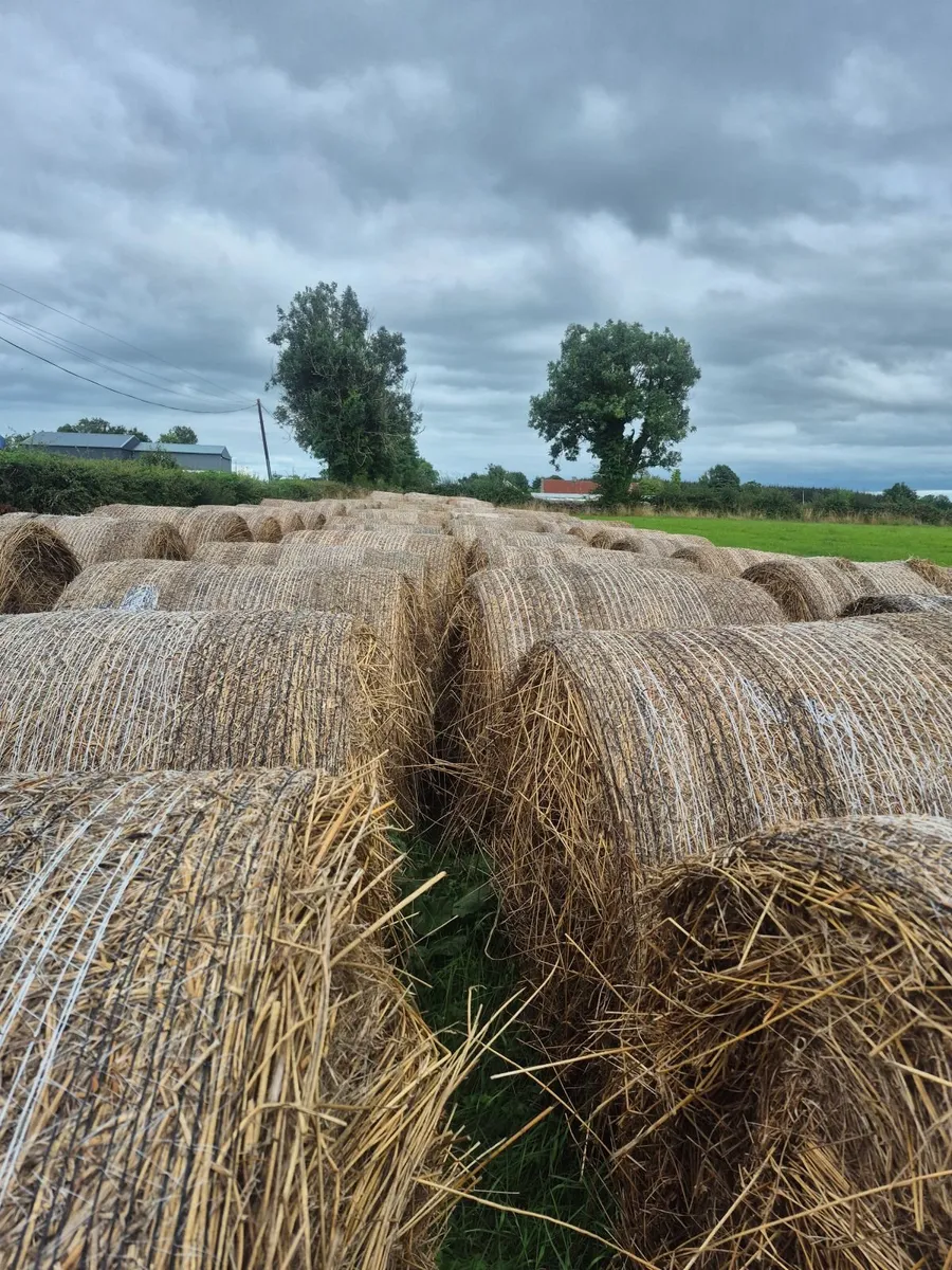 Round bales of bedding - Image 2