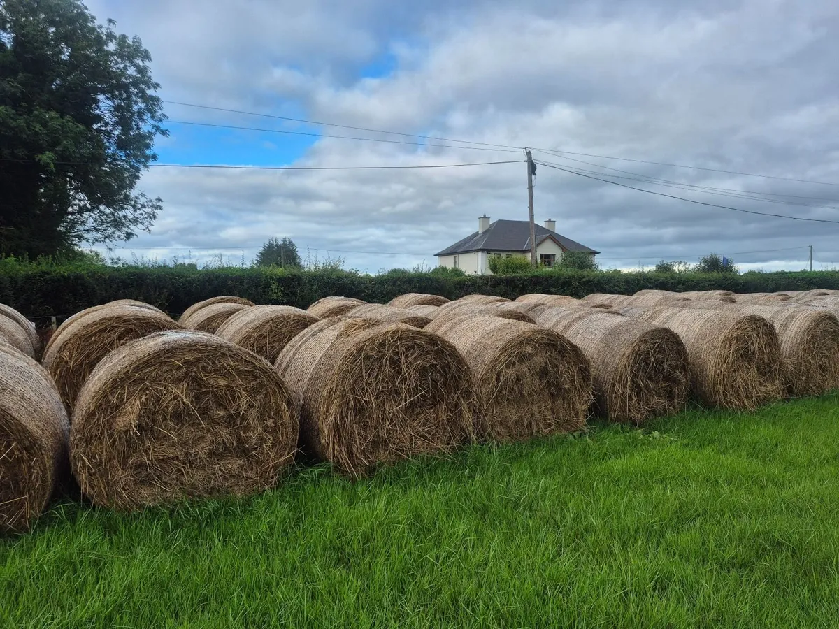Round bales of bedding - Image 3
