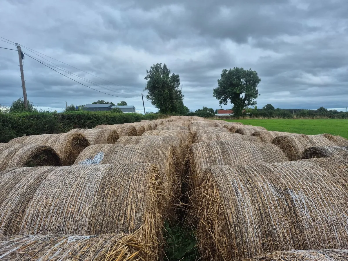 Round bales of bedding - Image 4