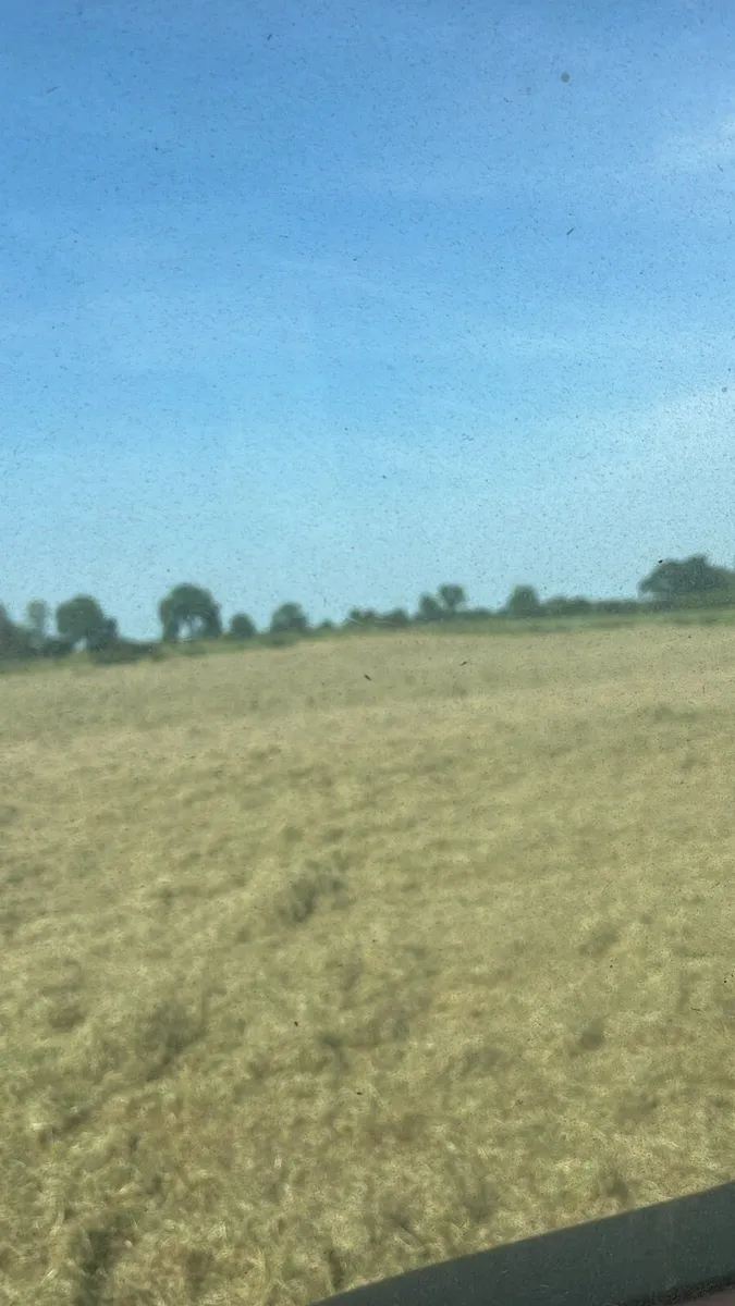 Haylage - Image 3