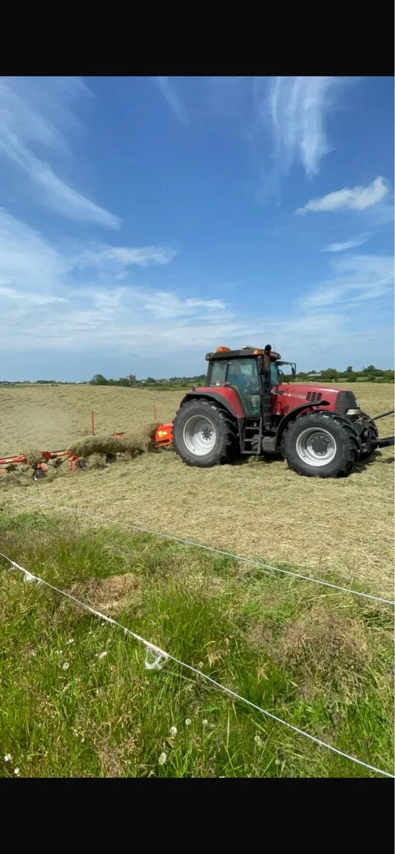 Haylage - Image 4