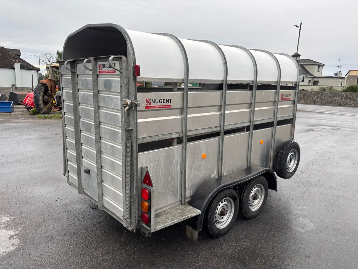 nugent 10ft livestock trailer - Image 4