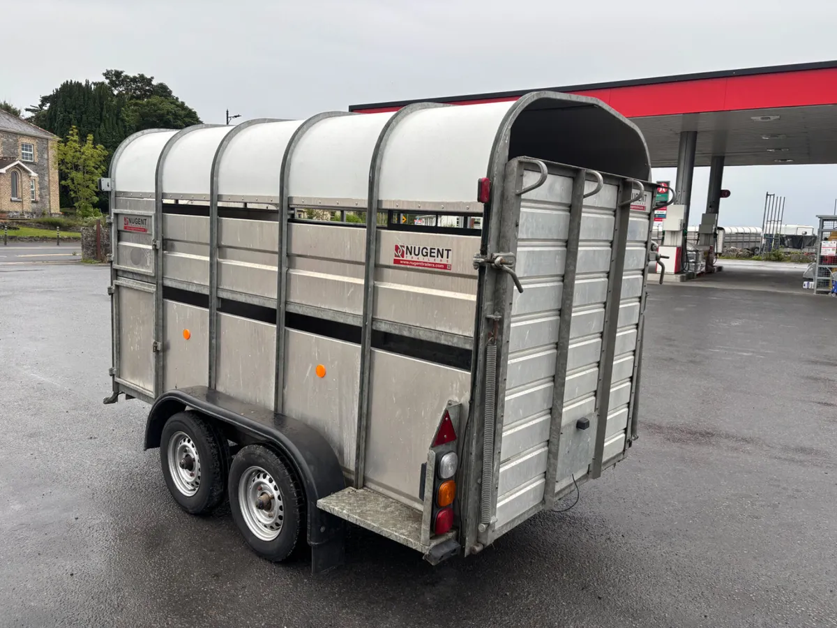 nugent 10ft livestock trailer - Image 3