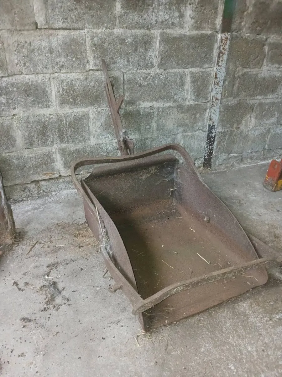 Ferguson TE20 Bucket Scraper - Image 3