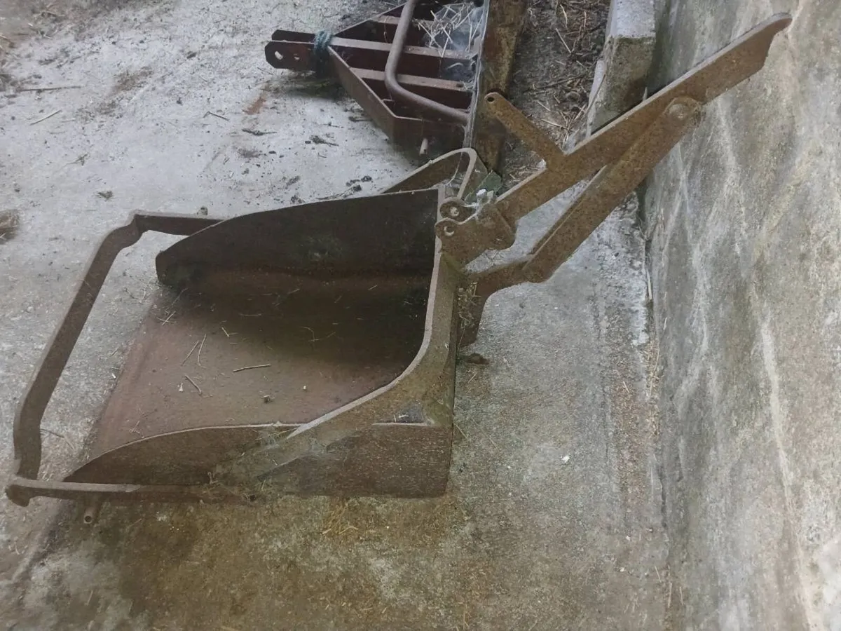 Ferguson TE20 Bucket Scraper - Image 4