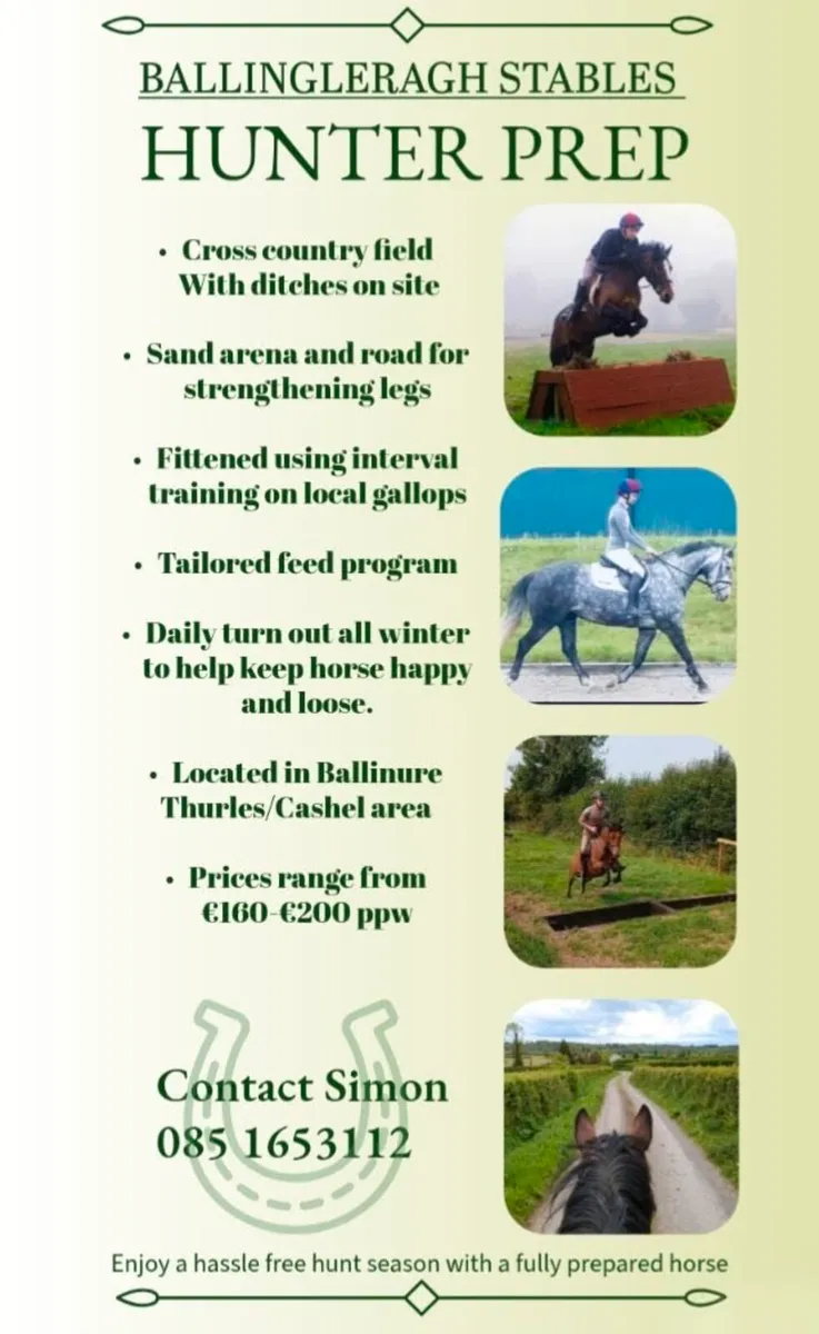 HUNTER PREP/FULL LIVERY CASHEL/THURLES - Image 2